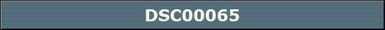 DSC00065
