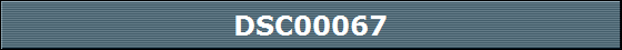 DSC00067