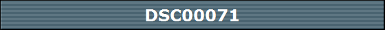 DSC00071