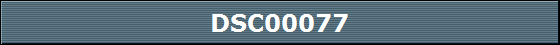DSC00077