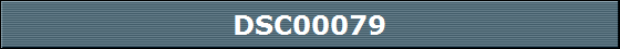 DSC00079