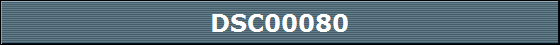 DSC00080