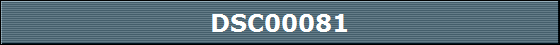 DSC00081