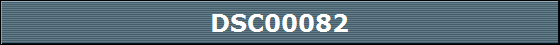 DSC00082