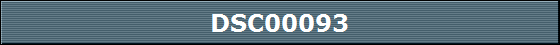 DSC00093