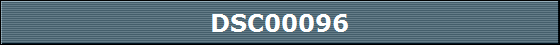 DSC00096