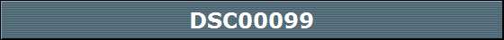 DSC00099