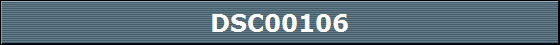 DSC00106