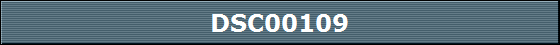 DSC00109