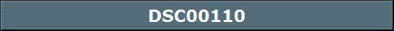 DSC00110