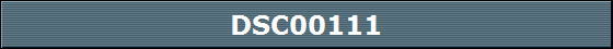 DSC00111