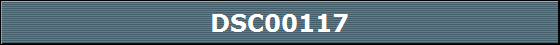 DSC00117