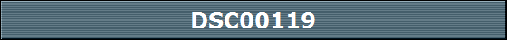 DSC00119