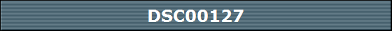 DSC00127