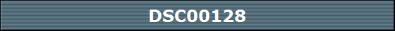 DSC00128