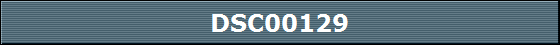 DSC00129