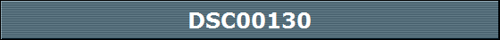 DSC00130