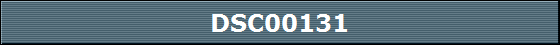DSC00131