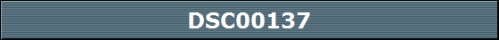 DSC00137