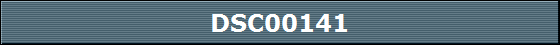 DSC00141