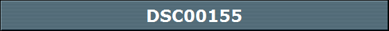 DSC00155