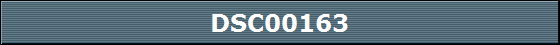 DSC00163