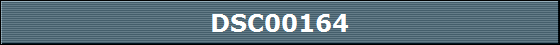 DSC00164