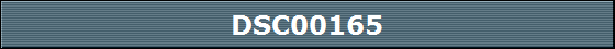 DSC00165