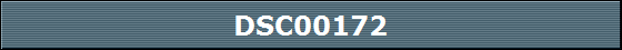 DSC00172