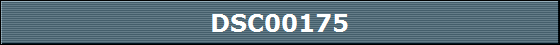 DSC00175