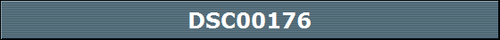DSC00176