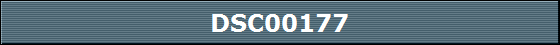 DSC00177