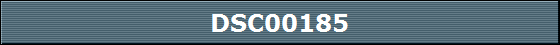 DSC00185