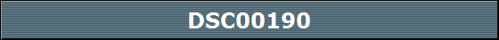 DSC00190