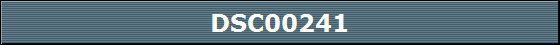 DSC00241