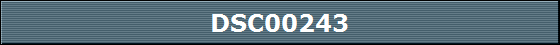 DSC00243