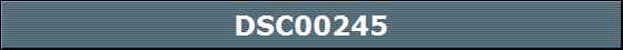 DSC00245