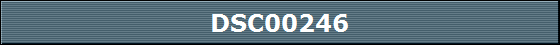 DSC00246
