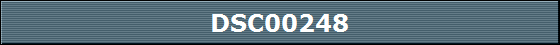 DSC00248