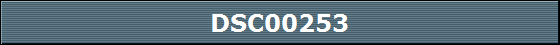 DSC00253
