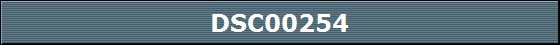 DSC00254