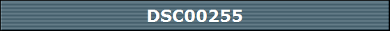 DSC00255