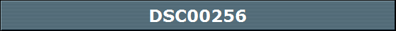 DSC00256