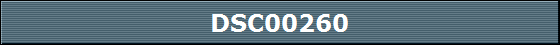 DSC00260