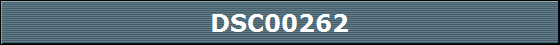 DSC00262