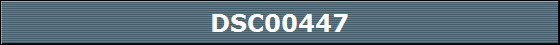 DSC00447