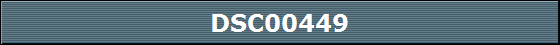 DSC00449