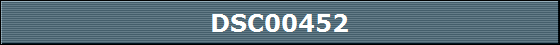 DSC00452