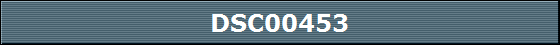 DSC00453