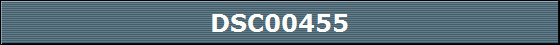 DSC00455